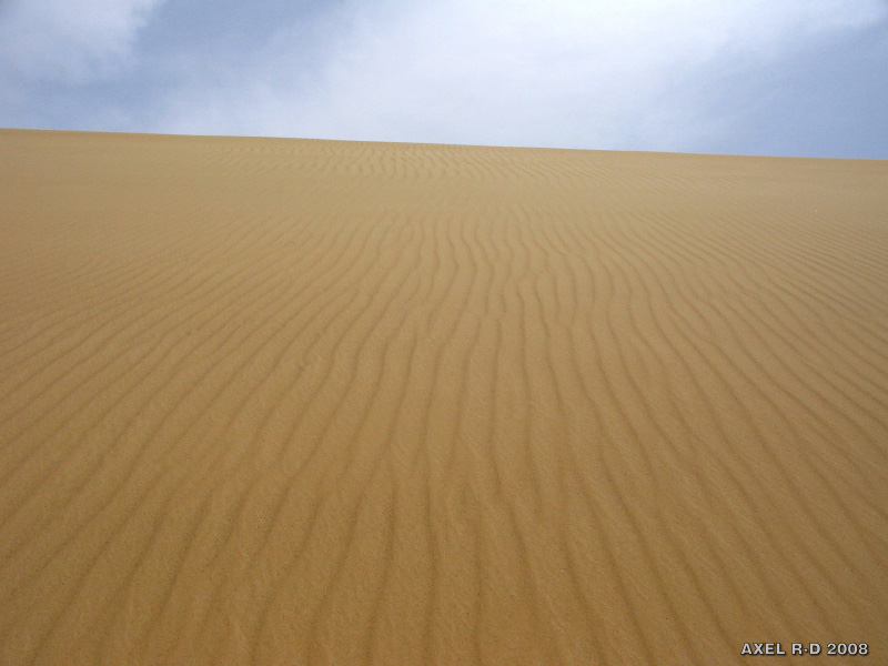 20080520-102538_b78628
