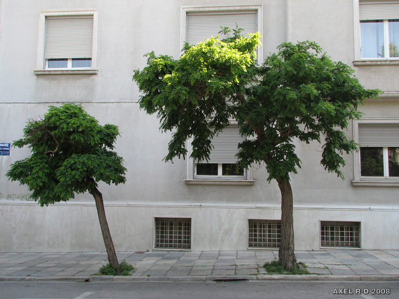 20080512-154842_c77230