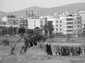 20080514-150156_c77761