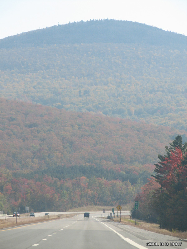 20071006-091408_c61914
