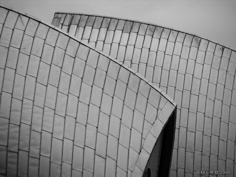 20080123-124832_c66337